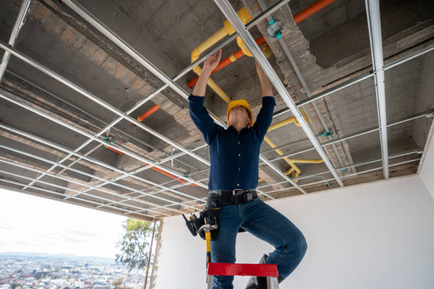 Best Same-Day Plumbing Service  in Le Center, MN