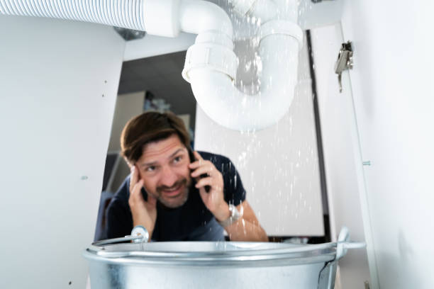 Best Residential Plumbing Services  in Le Center, MN