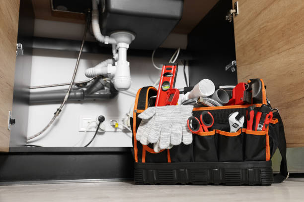 Best Plumbing Inspection Services  in Le Center, MN