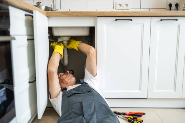 Best Affordable Plumbing Services  in Le Center, MN