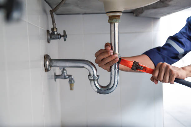 Best Septic Systems  in Le Center, MN