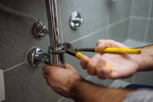 Best Plumbing Services Near Me  in Le Center, MN